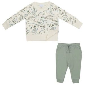 Dinosaur sweat set